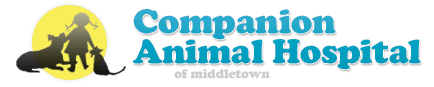 Companion Animal Hospital